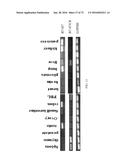 Methods of Modulating Immune Function diagram and image