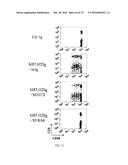 Methods of Modulating Immune Function diagram and image