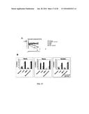 Humanized Anti-HLA-DR Antibodies diagram and image