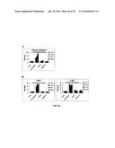 Humanized Anti-HLA-DR Antibodies diagram and image