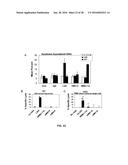 Humanized Anti-HLA-DR Antibodies diagram and image