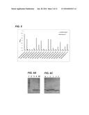 ANTI-MACROPHAGE MANNOSE RECEPTOR SINGLE VARIABLE DOMAINS FOR USE IN     CARDIOVASCULAR DISEASES diagram and image