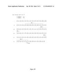 HUMAN MONOCLONAL ANTIBODIES TO FUCOSYL-GM1 AND METHODS FOR USING     ANTI-FUCOSYL-GM1 ANTIBODIES diagram and image