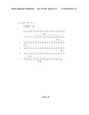 HUMAN MONOCLONAL ANTIBODIES TO FUCOSYL-GM1 AND METHODS FOR USING     ANTI-FUCOSYL-GM1 ANTIBODIES diagram and image