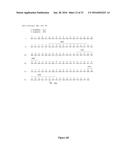 HUMAN MONOCLONAL ANTIBODIES TO FUCOSYL-GM1 AND METHODS FOR USING     ANTI-FUCOSYL-GM1 ANTIBODIES diagram and image