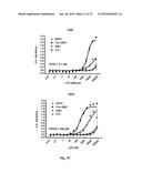 HUMAN MONOCLONAL ANTIBODIES TO FUCOSYL-GM1 AND METHODS FOR USING     ANTI-FUCOSYL-GM1 ANTIBODIES diagram and image