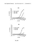 HUMAN MONOCLONAL ANTIBODIES TO FUCOSYL-GM1 AND METHODS FOR USING     ANTI-FUCOSYL-GM1 ANTIBODIES diagram and image