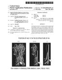 HIGH TITER RECOMBINANT INFLUENZA VIRUSES WITH ENHANCED REPLICATION IN VERO     CELLS diagram and image