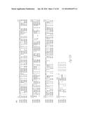 HIGH TITER RECOMBINANT INFLUENZA VIRUSES WITH ENHANCED REPLICATION IN VERO     CELLS diagram and image