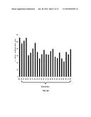 LNA ANTISENSE OLIGONUCLEOTIDES FOR THE MODULATION OF MYC EXPRESSION diagram and image