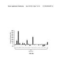 LNA ANTISENSE OLIGONUCLEOTIDES FOR THE MODULATION OF MYC EXPRESSION diagram and image