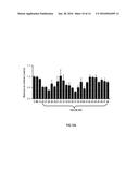 LNA ANTISENSE OLIGONUCLEOTIDES FOR THE MODULATION OF MYC EXPRESSION diagram and image