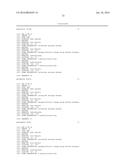 LNA ANTISENSE OLIGONUCLEOTIDES FOR THE MODULATION OF MYC EXPRESSION diagram and image