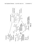 Modulation of Flavonoid Content in Cacao Plants diagram and image