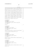 NOVEL NUCLEIC ACID MOLECULES diagram and image