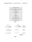 MANUFACTURING METHODS FOR PRODUCTION OF RNA TRANSCRIPTS diagram and image