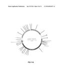 MANUFACTURING METHODS FOR PRODUCTION OF RNA TRANSCRIPTS diagram and image