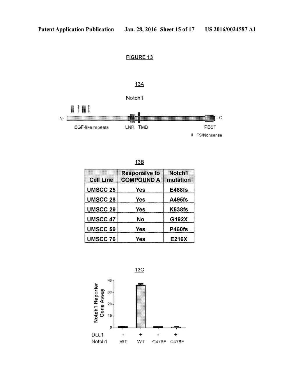 MARKERS ASSOCIATED WITH WNT INHIBITORS - diagram, schematic, and image 16