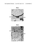 CONDITIONING FERROUS ALLOYS INTO CRACKING SUSCEPTIBLE AND FRAGMENTABLE     ELEMENTS FOR USE IN A WELL diagram and image