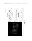 Photonic Optical Sensor and Method of Use Thereof diagram and image