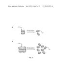 Composite Nanoparticle Structures for Chemical and Biological Sensing diagram and image