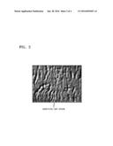 METHOD FOR DETECTING CRYSTAL GRAIN BOUNDARIES OF GRAPHEME AND DEVICE USING     METHOD diagram and image