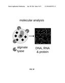 Method to sort cells on the basis of radionuclide uptake diagram and image