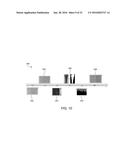 AUTOMATED IMAGING AND ANALYSIS OF THE HEMAGGLUTINATION INHIBITION ASSAY     (HAI) diagram and image