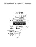 USE AND TREATMENT OF DI-AMINO ACID REPEAT-CONTAINING PROTEINS ASSOCIATED     WITH ALS diagram and image