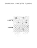 USE AND TREATMENT OF DI-AMINO ACID REPEAT-CONTAINING PROTEINS ASSOCIATED     WITH ALS diagram and image