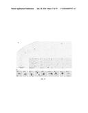 USE AND TREATMENT OF DI-AMINO ACID REPEAT-CONTAINING PROTEINS ASSOCIATED     WITH ALS diagram and image