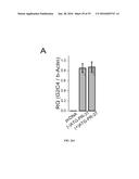 USE AND TREATMENT OF DI-AMINO ACID REPEAT-CONTAINING PROTEINS ASSOCIATED     WITH ALS diagram and image