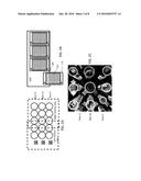 TUBE TRAY VISION SYSTEM diagram and image