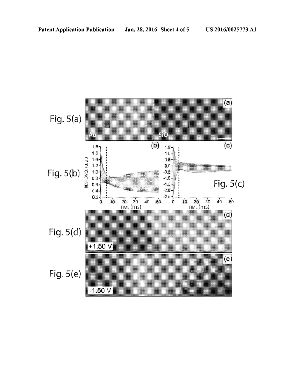 ELECTROCHEMICAL FORCE MICROSCOPY - diagram, schematic, and image 05