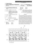 Light Controlling Apparatus and Transparent Display Including the Same diagram and image