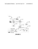 METHOD AND APPARATUS FOR THREE DIMENSIONAL VIEWING OF IMAGES diagram and image