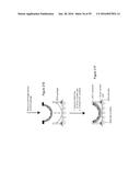 METHODS AND APPLICATIONS OF NON-PLANAR IMAGING ARRAYS diagram and image