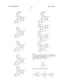 Tridentate Cyclometalated Metal Complexes with Six-Membered Coordination     Rings diagram and image