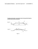 COMPLIANT SEAL STRUCTURES FOR PROTECTED ACTIVE METAL ANODES diagram and image