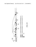 APPARATUS AND METHOD FOR TRANSMITTING/RECEIVING THE HYBRID-ARQ ACK/NACK     SIGNAL IN MOBILE COMMUNICATION SYSTEM diagram and image