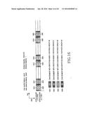 APPARATUS AND METHOD FOR TRANSMITTING/RECEIVING THE HYBRID-ARQ ACK/NACK     SIGNAL IN MOBILE COMMUNICATION SYSTEM diagram and image