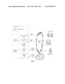 DIAGNOSIS OF NETWORK ANOMALIES USING CUSTOMER PROBES diagram and image