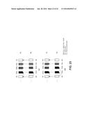 REFERENCE PICTURE SET SIGNALING AND RESTRICTION ON AN ELECTRONIC DEVICE diagram and image