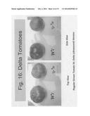 Ultrasonically enhanced seed germination system diagram and image