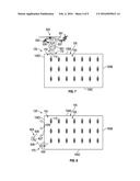 SYSTEMS AND METHODS FOR DEACTIVATING PLANT MATERIAL OUTSIDE OF A GROWING     REGION diagram and image