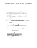 EMBOLISATION SYSTEMS diagram and image