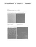 Water-Absorbing (Meth) Acrylic Resin With Optical Effects, And Related     Compositions diagram and image