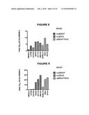 1-(5-TERT-BUTYL-2-PHENYL-2H-PYRAZOL-3-YL)-3-[2-FLUORO-4-(1-METHYL-2-OXO-2,-    3-DIHYDRO-1H-IMIDAZO[4,5-B]PYRIDIN-7-YLOXY)-PHENYL]-UREA AND RELATED     COMPOUNDS AND THEIR USE IN THERAPY diagram and image