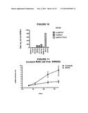 1-(5-TERT-BUTYL-2-PHENYL-2H-PYRAZOL-3-YL)-3-[2-FLUORO-4-(1-METHYL-2-OXO-2,-    3-DIHYDRO-1H-IMIDAZO[4,5-B]PYRIDIN-7-YLOXY)-PHENYL]-UREA AND RELATED     COMPOUNDS AND THEIR USE IN THERAPY diagram and image