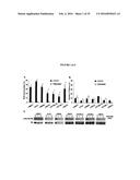 COMPANION DIAGNOSTIC FOR CDK4 INHIBITORS diagram and image